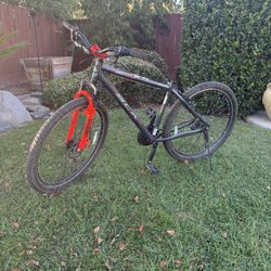 BCA Men’s Mountain Bike Size 29”