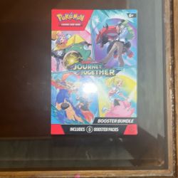 Journey Together Booster Bundle