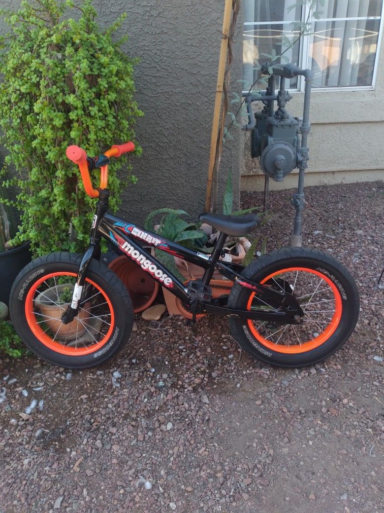 Mongoose Erupt Kid Bike