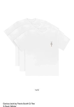 Cactus Jack By Travis Scott CJ Tees (3Pack)