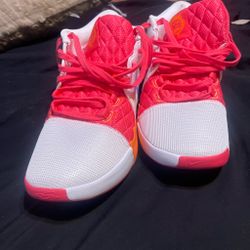 LeBron basket ball shoes
