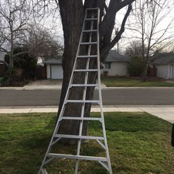 Tri-Pod Landscaping Ladder