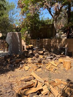 Free firewood
