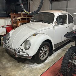 1965 VW  (Clean asf) 