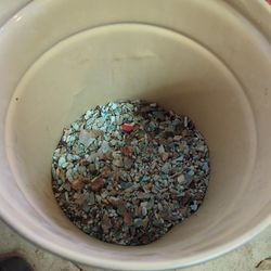 Pure Arizona Turquoise Chips