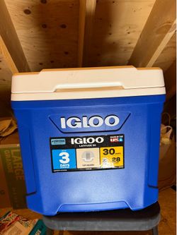 Igloo Cooler 30 Quartz