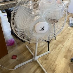 Fan 