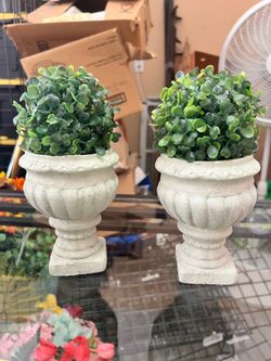 Planters