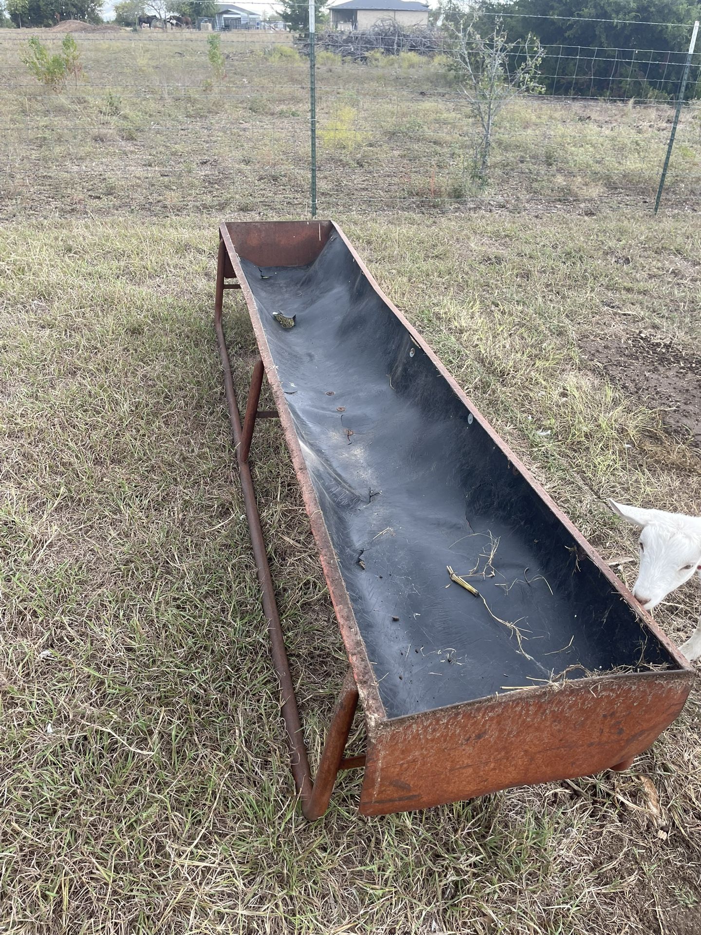 10’ Feed Trough & Farm Dog, Dog House