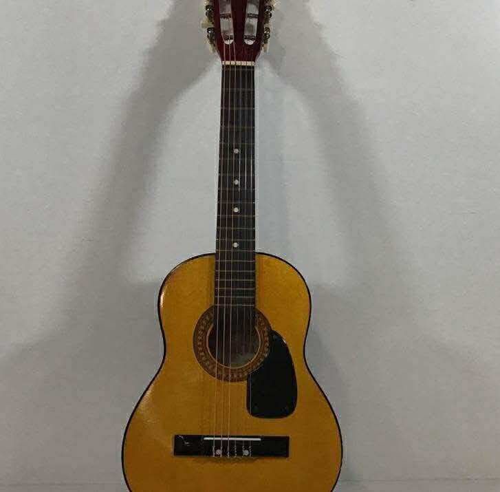 Acoustic Guitar 
