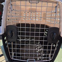 Dog Kennel 