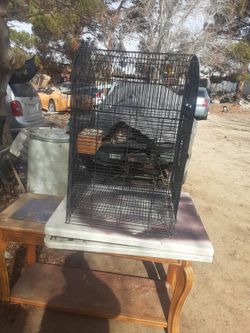 Bird Cage