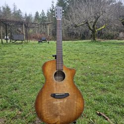 Breedlove Acoustic/electric Guitar
