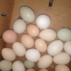 Farm Fresh ........ Good's 12/$3 18/$4