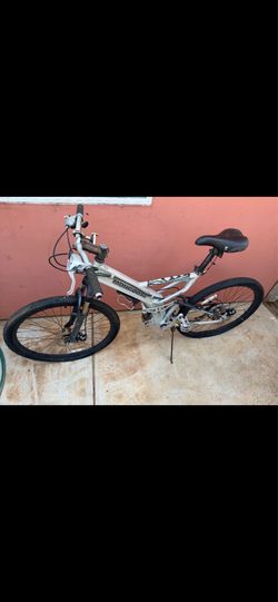 Adult size bike