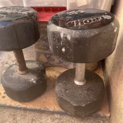 50- Dumbbells 