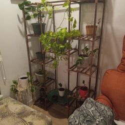 Plant Stand