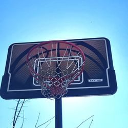Lifetime 44-Inch Impact Portable Basketball Hoop with Telescoping Adjustment & Classic Rim - Model 90040-Outdoor Play