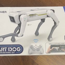 Smart dog multifunctional Toy