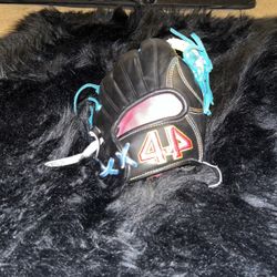 44 Pro Glove For Right Handers. 
