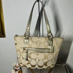 Coach Poppy Metallic Signature Shoulder Tote Bag