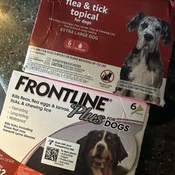 Flea & Tick Medication