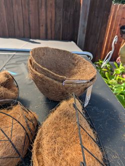 Hanging flower baskets