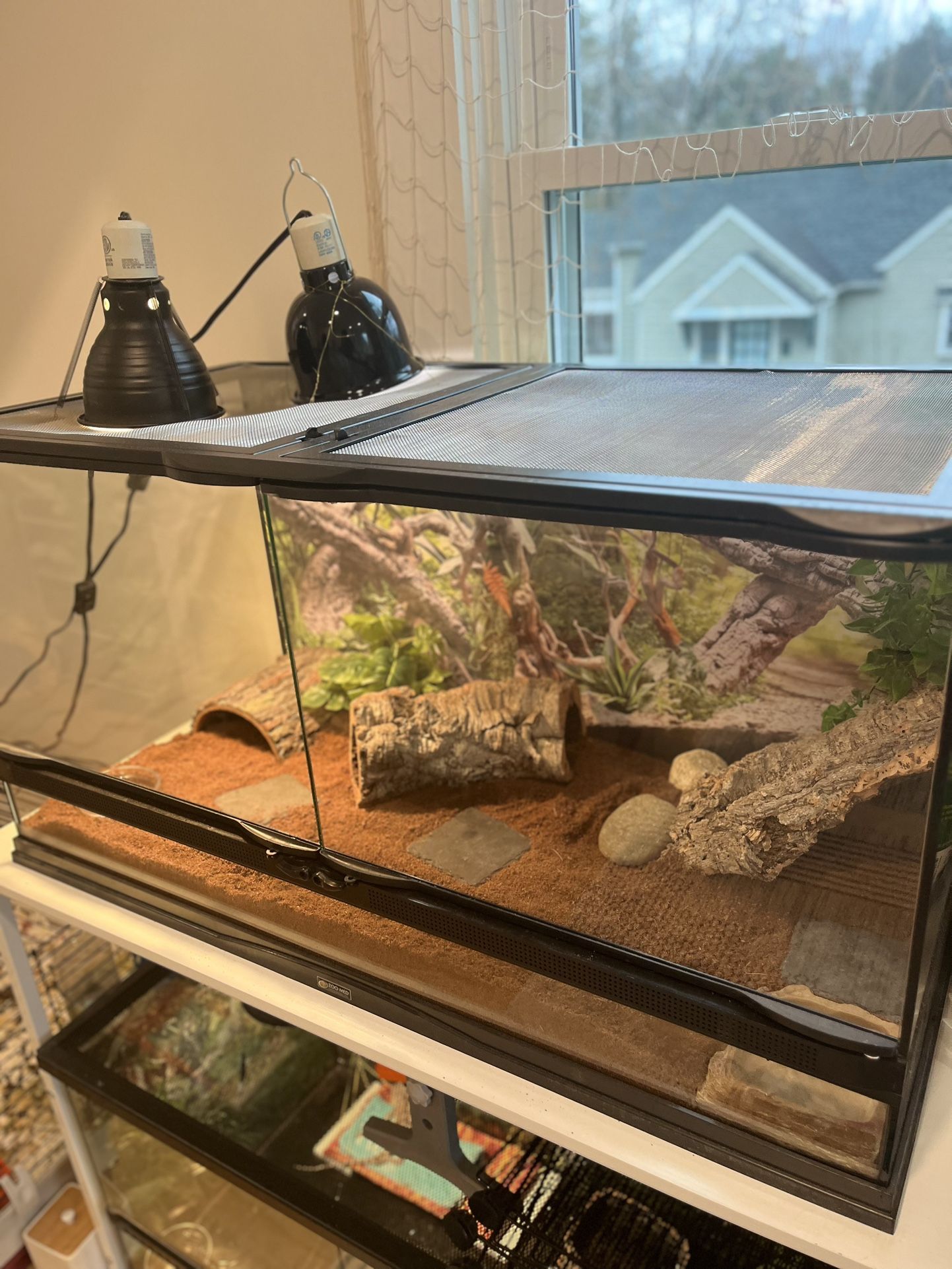 40 Gallon Reptile Terrarium Tank