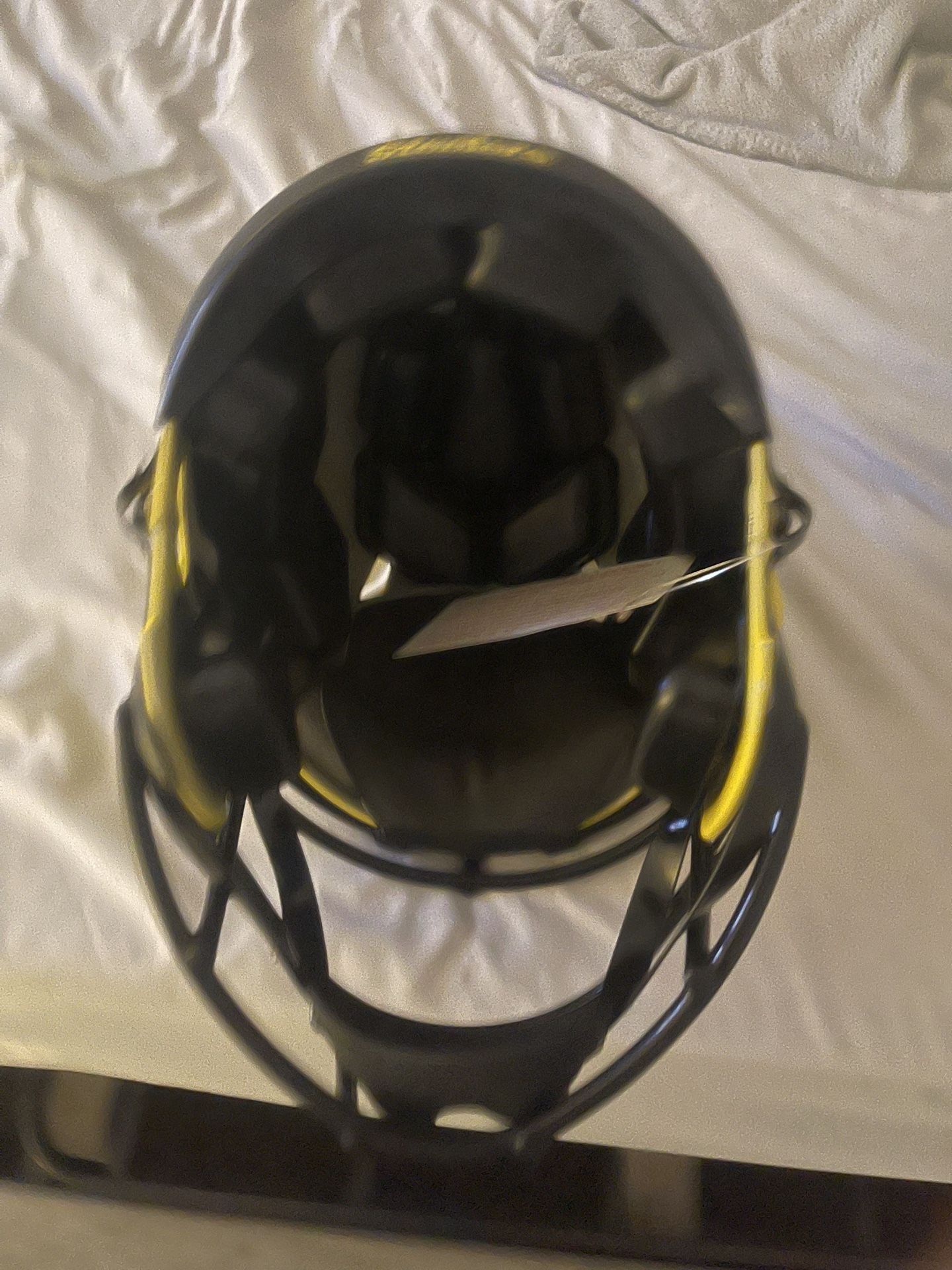 Troy polomalu Signed Full Size Helmet