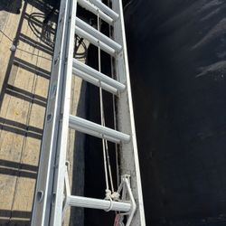 Ladder 28 Foot 