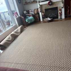 Rug Sisal 12x9
