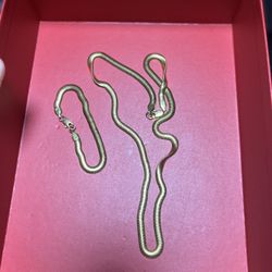 Snake Chain And Snake Bracelet