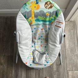 Baby Bouncer