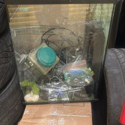 Reptile Tank