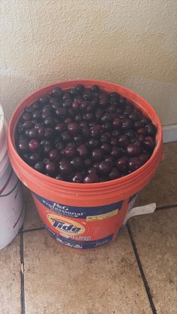 Cherries