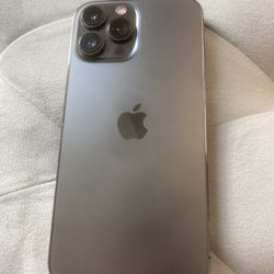 iPhone 13 ProMax Unlocked 