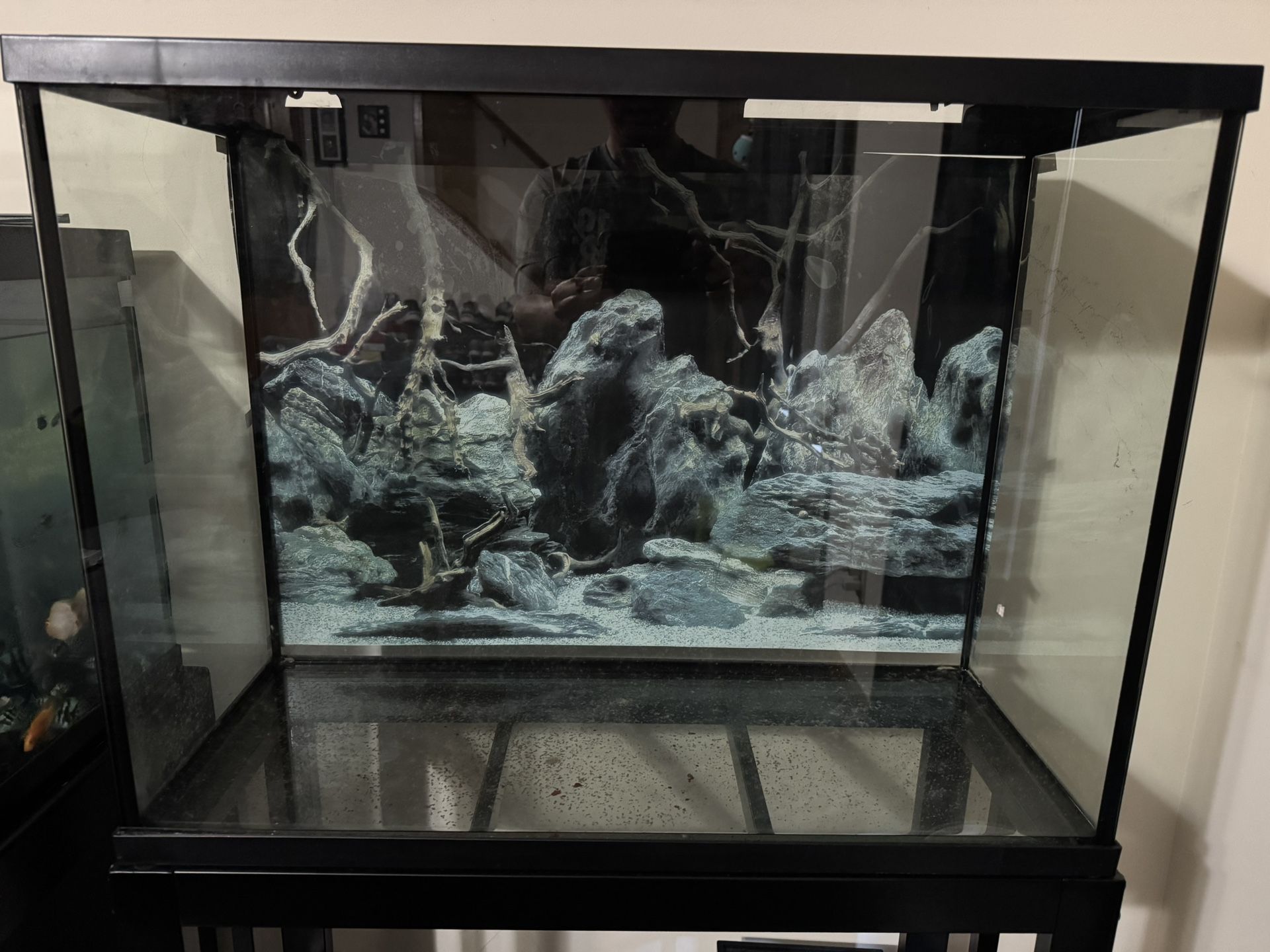Fish Tank