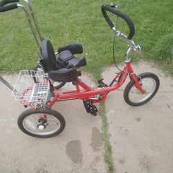 New Amtryke Proseries 1416 Upright Foot Adaptive Tricycle