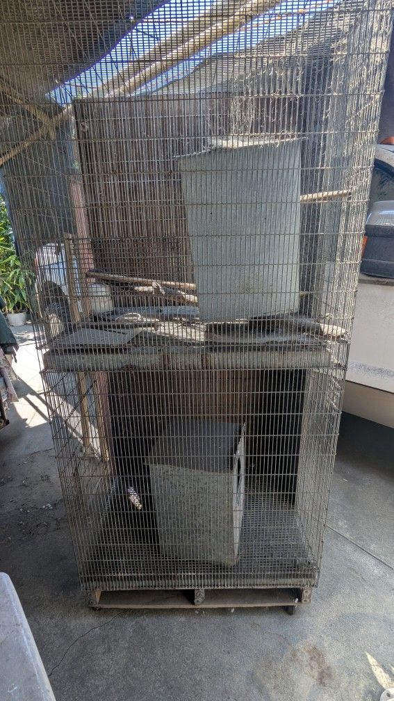 Bird Cage (Custom)
