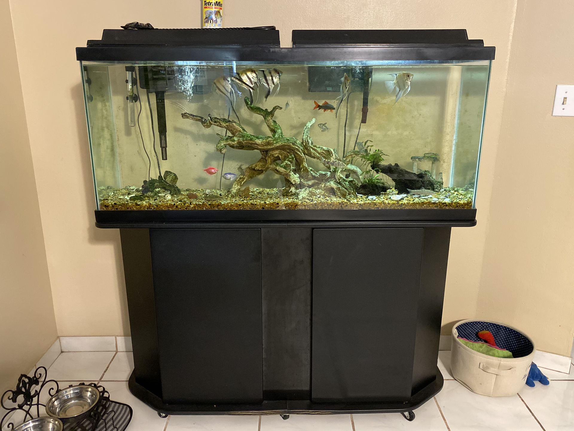 55 gallon freshwater aquarium with equipment