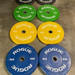 Rogue Fitness Color Echo Bumper Weight Plates - 210 lbs set