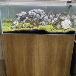 WATERBOX AQUARIUMS CLEAR 4820 Aquarium & Stand (72 Gallons)