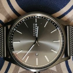 Skagen Mens Wrist Watch