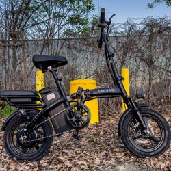 Electric bike