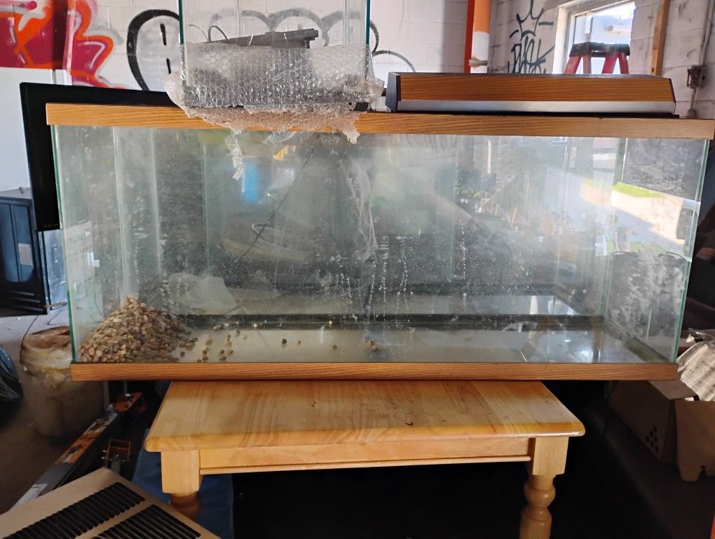54 Gallon Aquarium