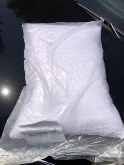 Pillow (2) $5 Each