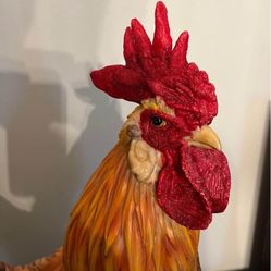 Gallant Rooster 