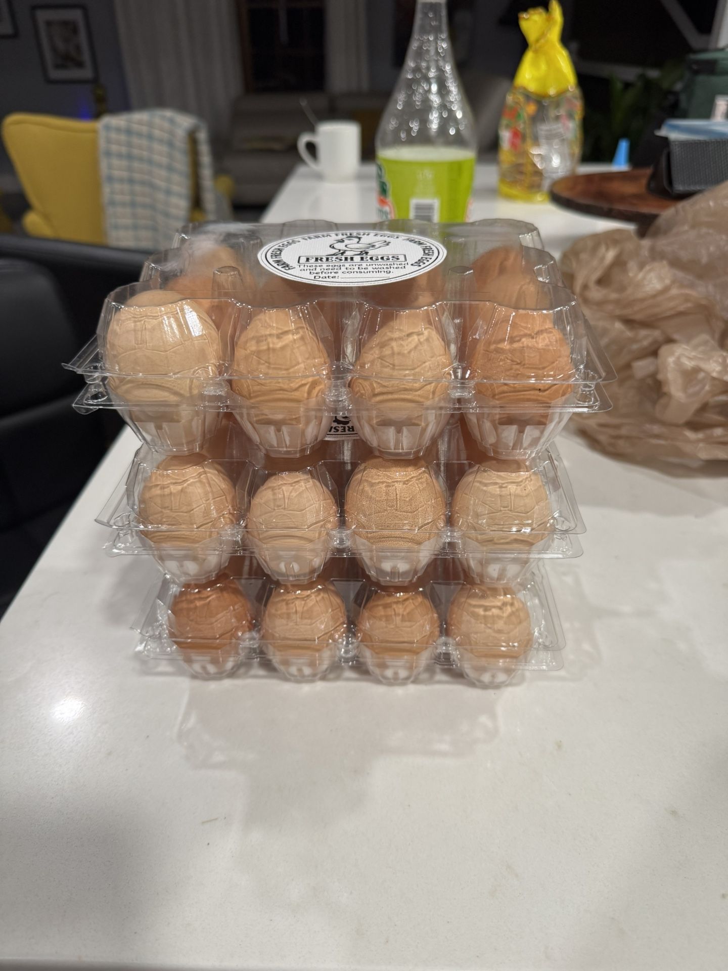Fresh Eggs