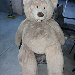 Giant Teddy Bear