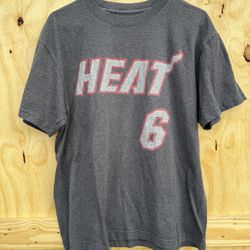 Lebron James Miami Heat 